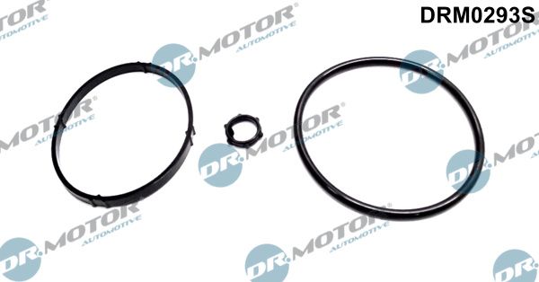 DR.MOTOR AUTOMOTIVE Blīvju komplekts, Eļļas radiators DRM0293S